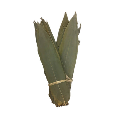 Bamboo Leaves 10cm 1pack