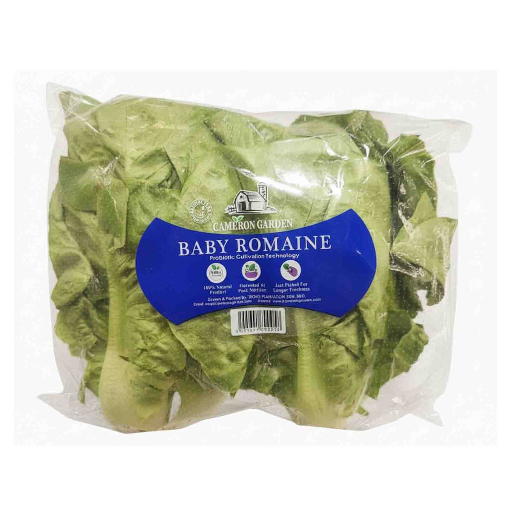 Cameron Garden Lettuce Baby Romaine (Malaysia) 200g