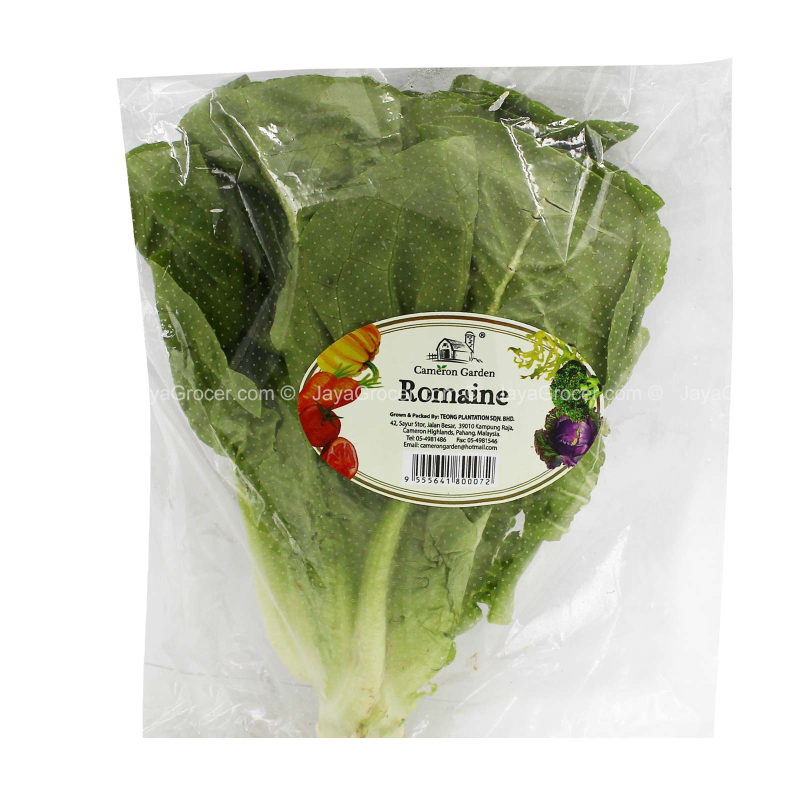 Cameron Garden Romaine Lettuce 220g