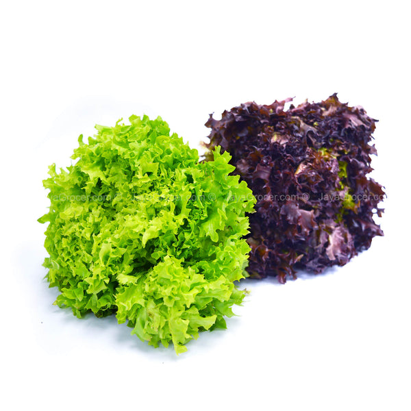 Paprika Farm Red/Green Coral Lettuce 200g (highest price)