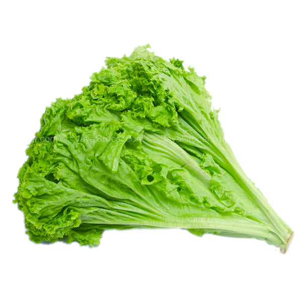 Paprika Farm Lettuce Lollo Bionda 120g (highest price)