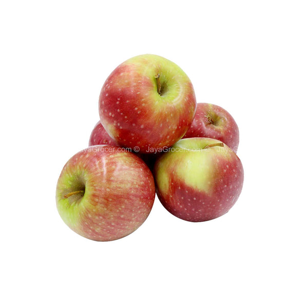 Crisp Red Apple (South Africa) 8pcs/pack (highest price)