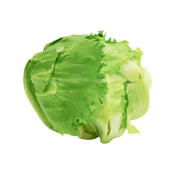 Genting Garden Iceberg Lettuce (Malaysia) 1pack (highest price)