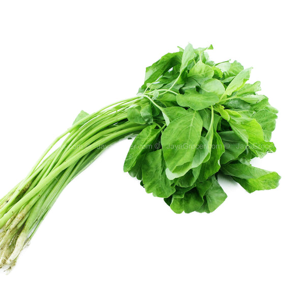 Summer Harvest Round Spinach (Bayam Bulat) 250g (highest price)