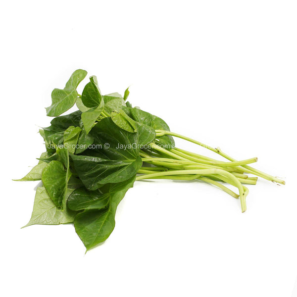 Baby Sweet Potato Leaf (Malaysia) 250g (highest price)