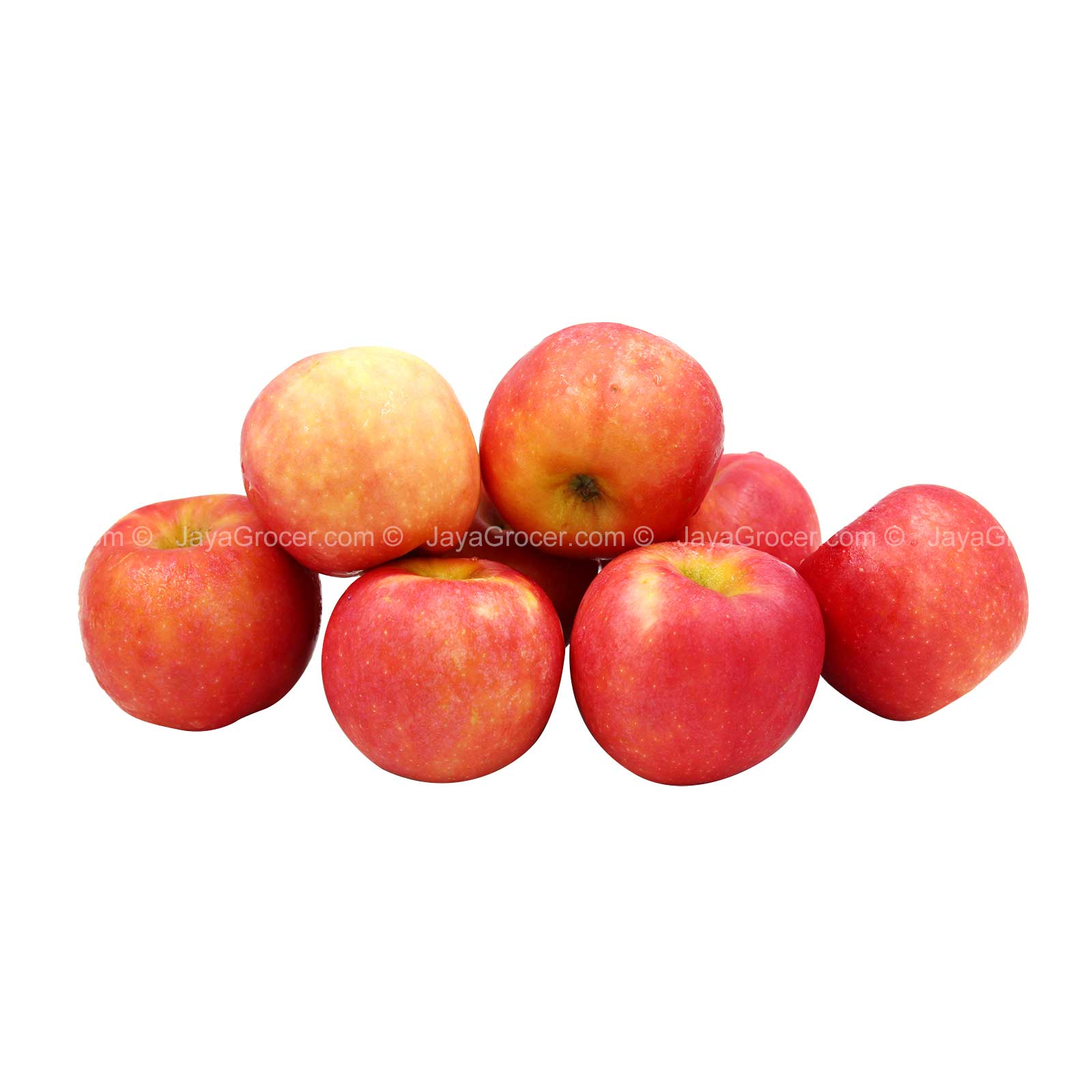 Posy Apple (New Zealand) 6pcs/pack