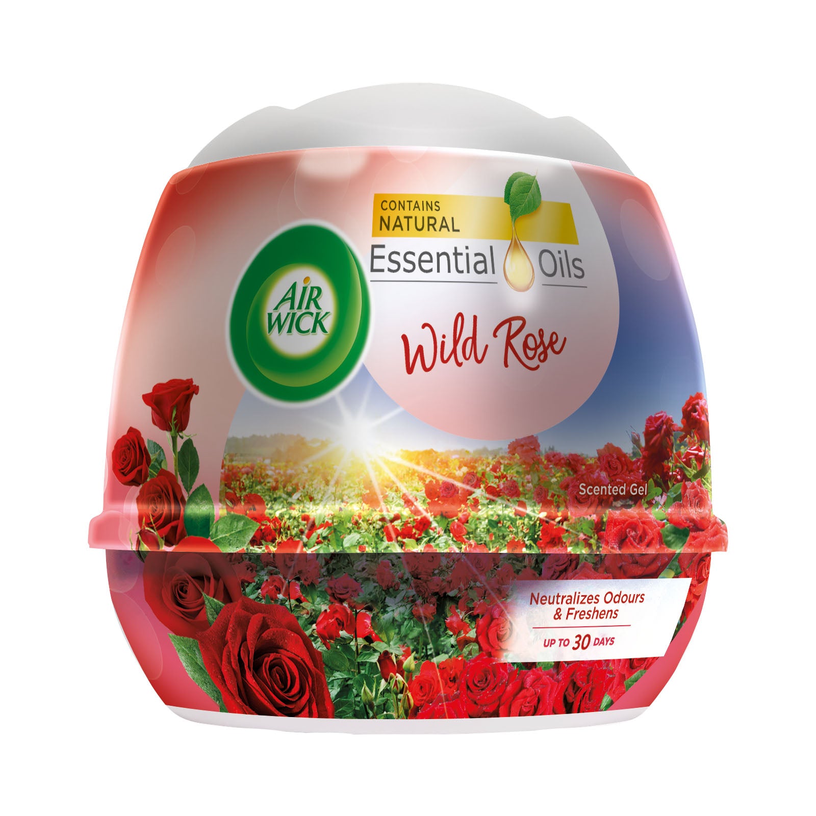 Air Wick Standard Gel Cone Rose 180g
