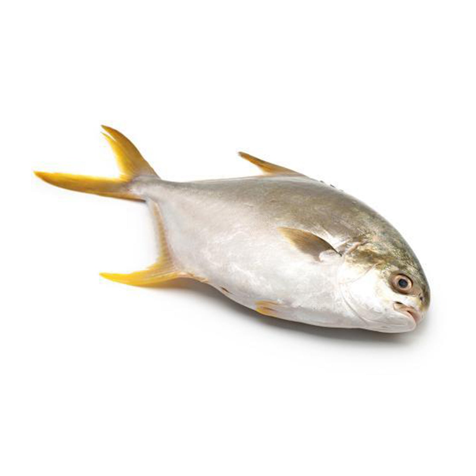 Ikan Bawal Emas 350g/pack