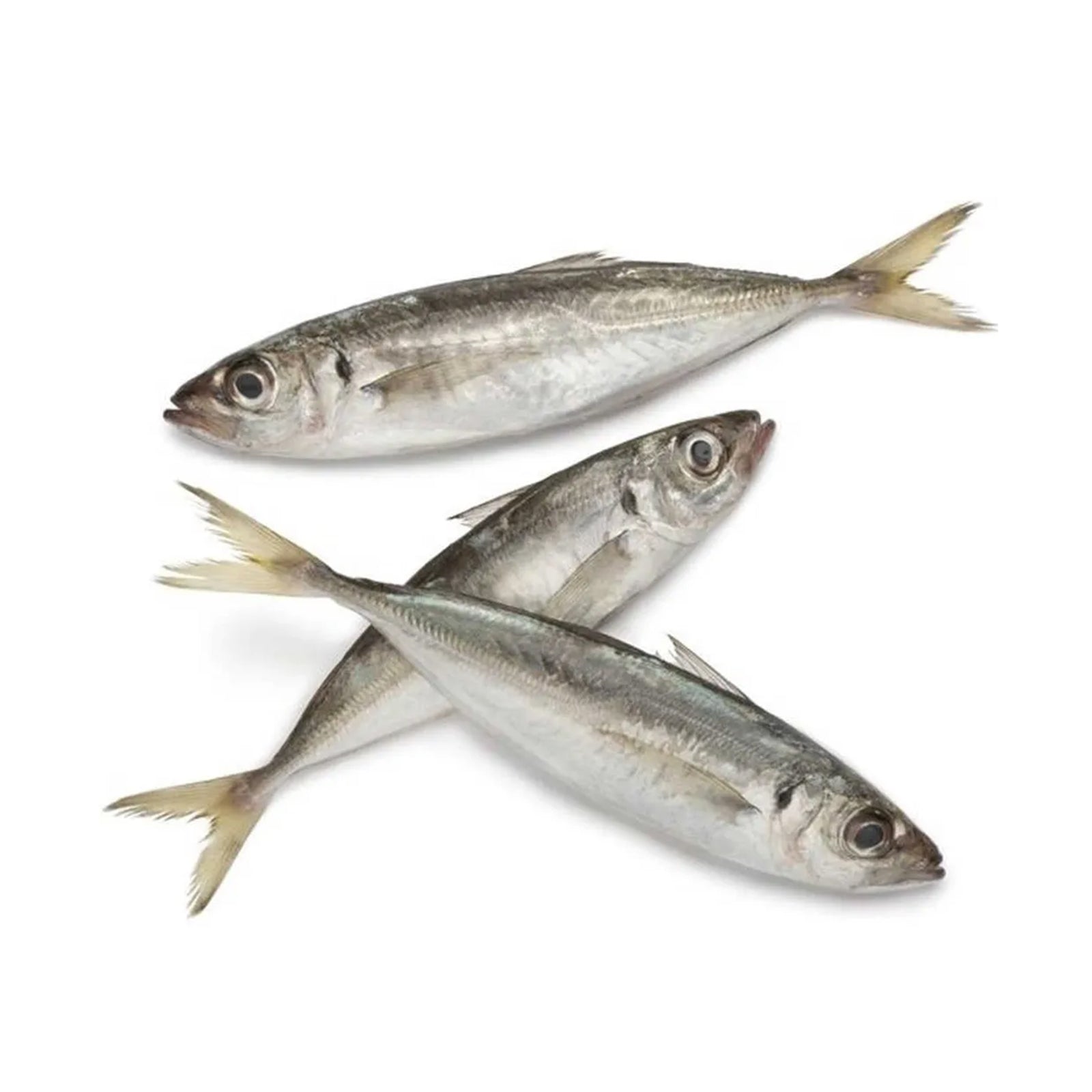 Ikan Sardin 400g/pack