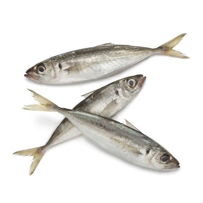 Ikan Sardin 500g/pack
