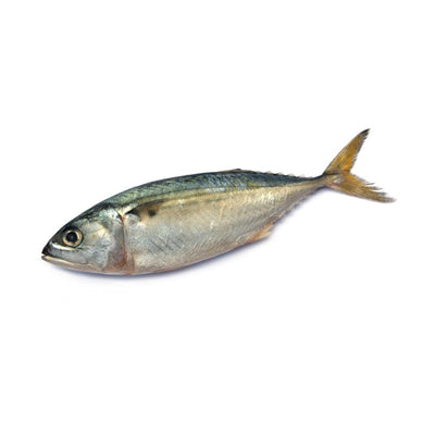 Ikan Kembong 500g/pack