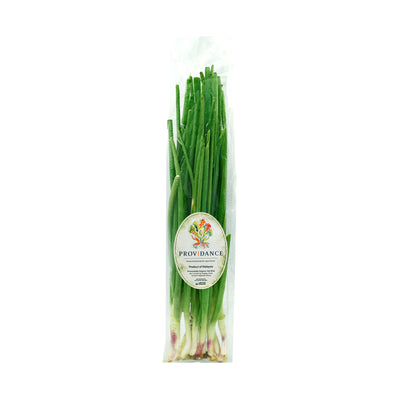Providance Spring Onion (Daun Bawang)(Pestcide Free) 80g